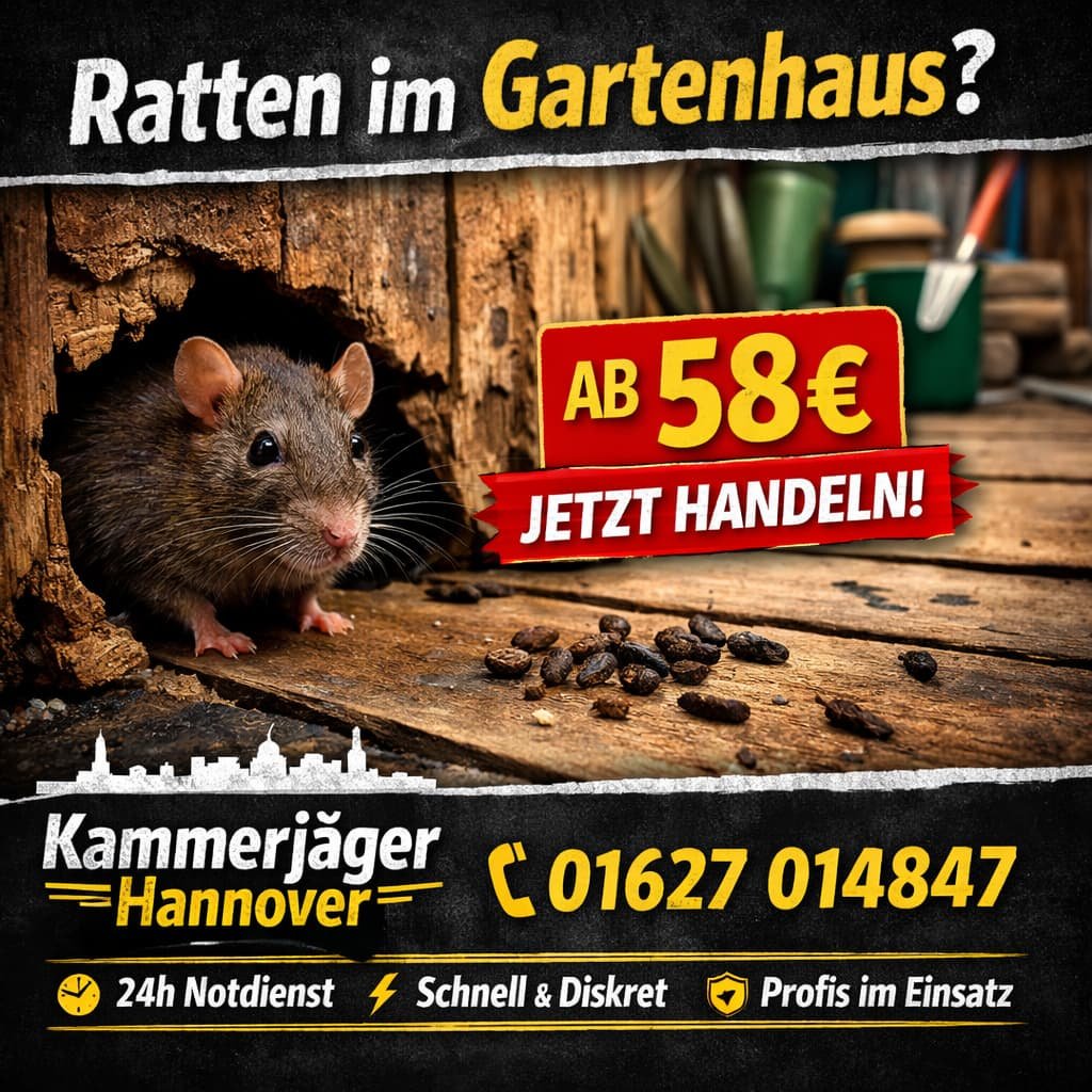 Ratten im Gartenhaus