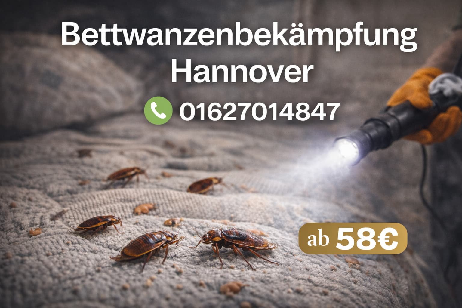 Bettwanzenbekämpfung Hannover