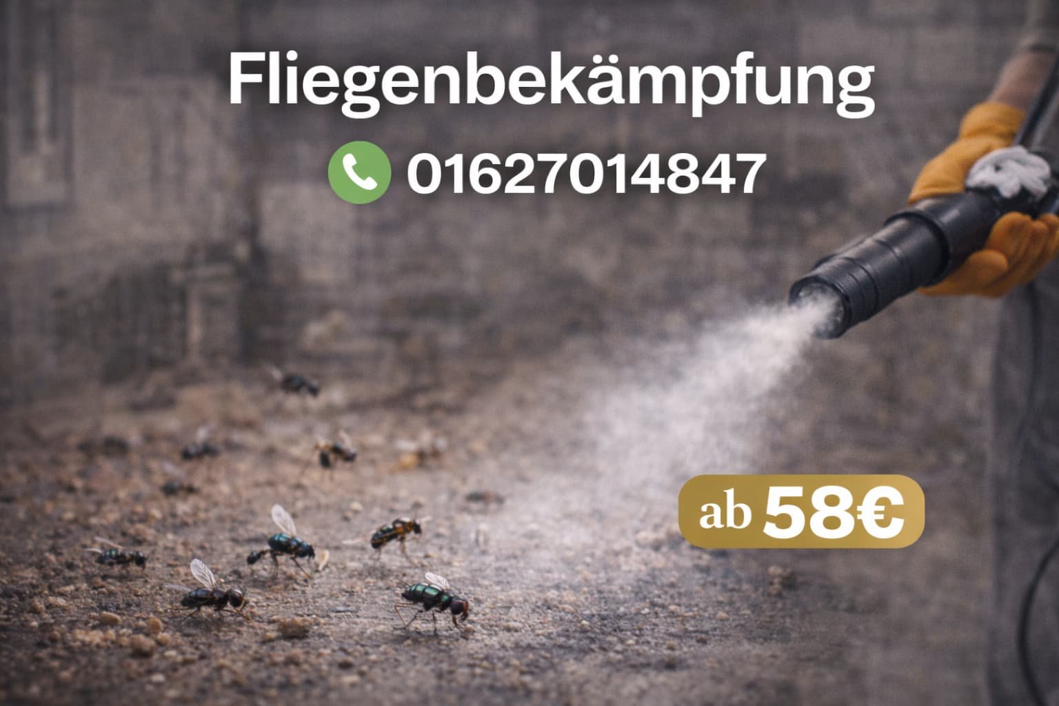 Fliegenbekämpfung