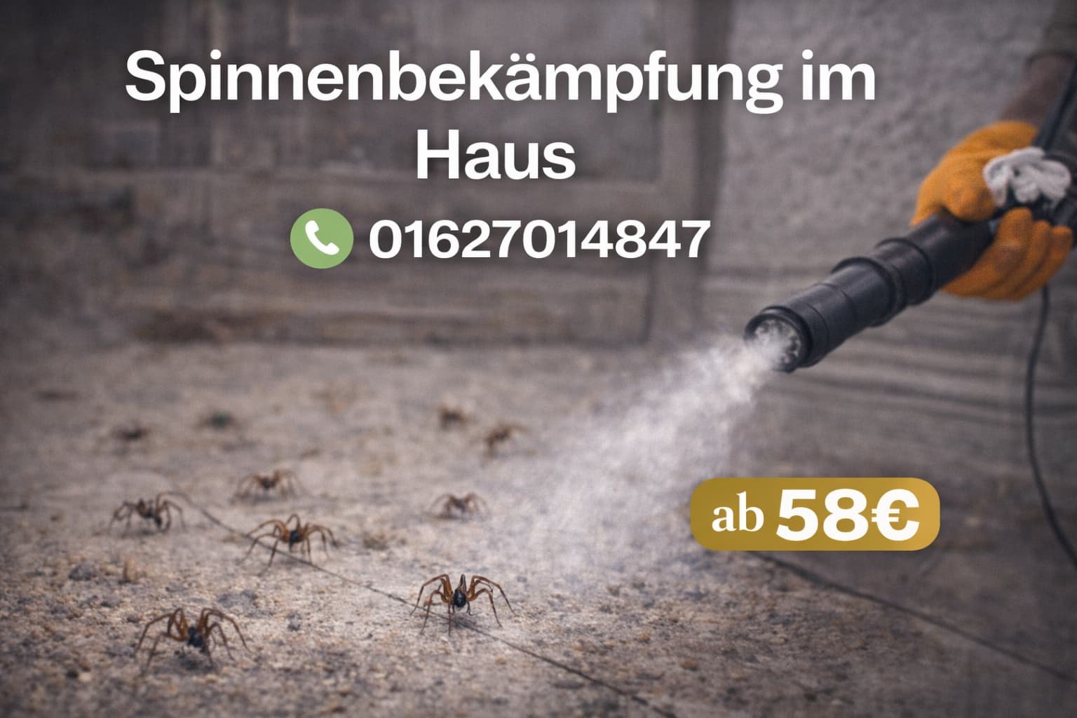 Spinnenbekämpfung im Haus