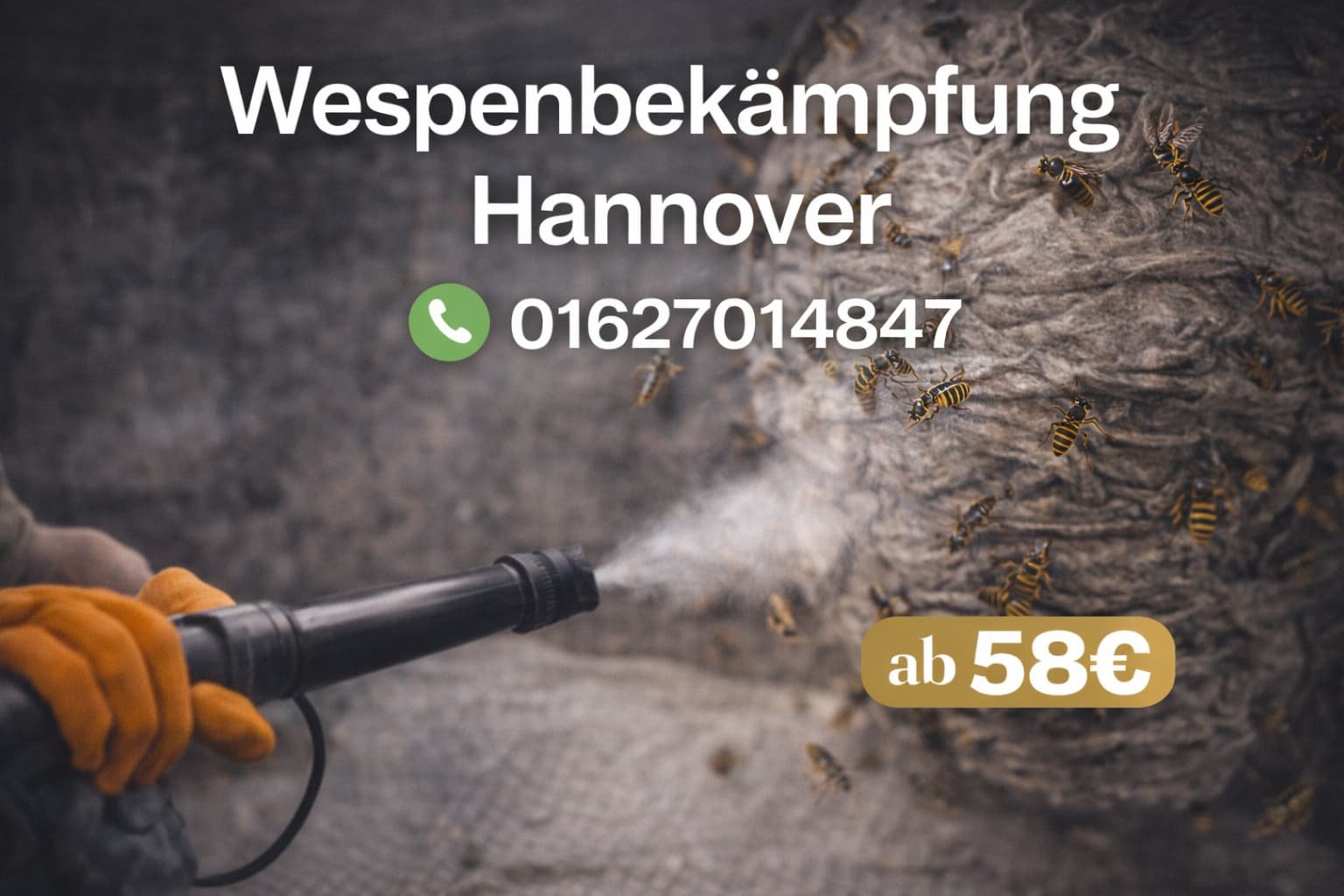 Wespenbekämpfung Hannover