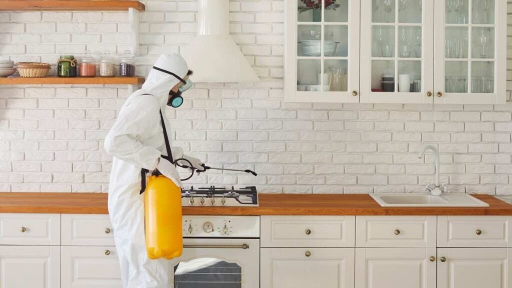 wanzen in der wohnung winter