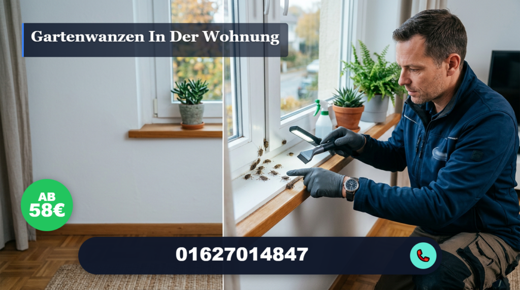 gartenwanzen in der wohnung