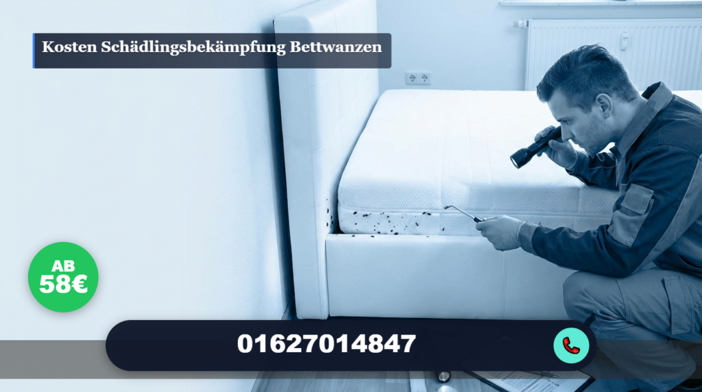 kosten schädlingsbekämpfung bettwanzen