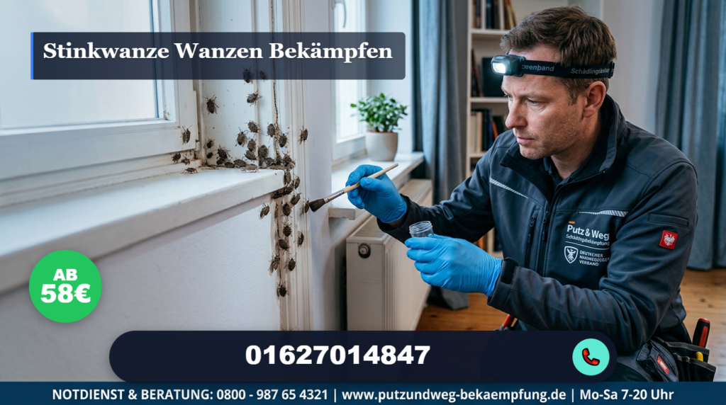 stinkwanze wanzen bekämpfen