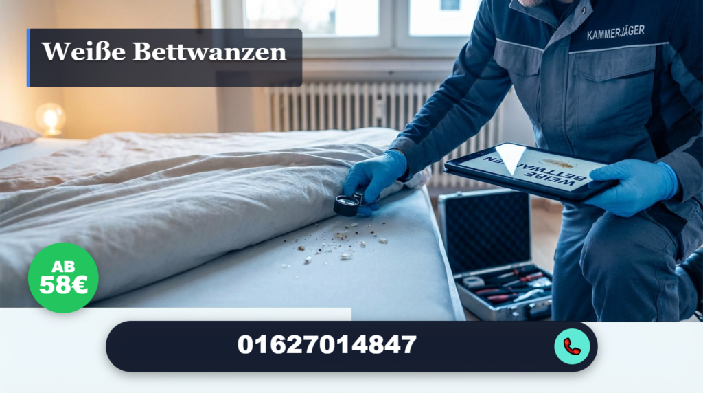 weiße bettwanzen