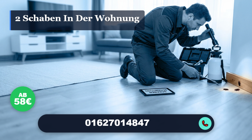 2 schaben in der wohnung