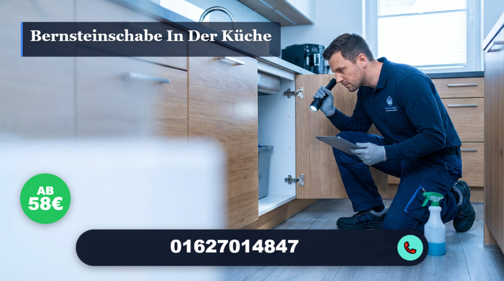 bernsteinschabe in der küche