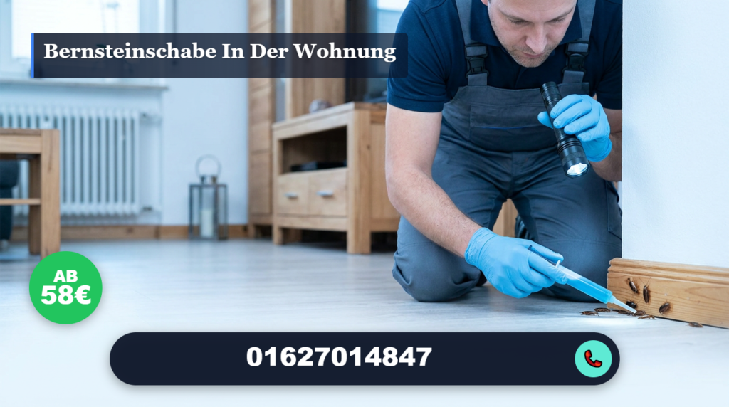 bernsteinschabe in der wohnung