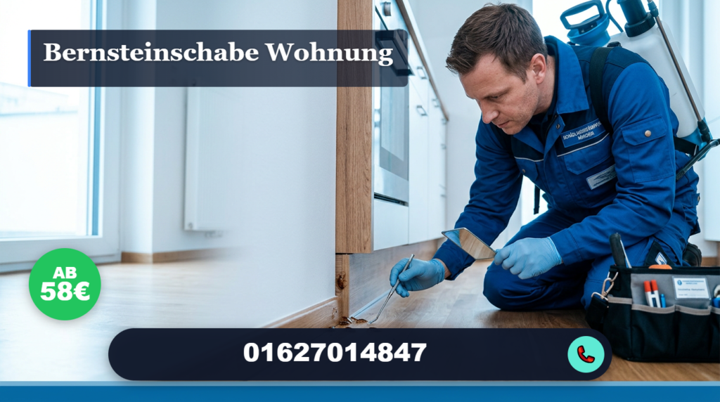 bernsteinschabe wohnung