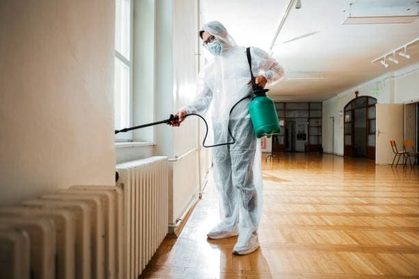 Sofortige Reaktion nach dem Entdecken eines Schädlings im Wohnbereich zur Vermeidung weiterer Ausbreitung.