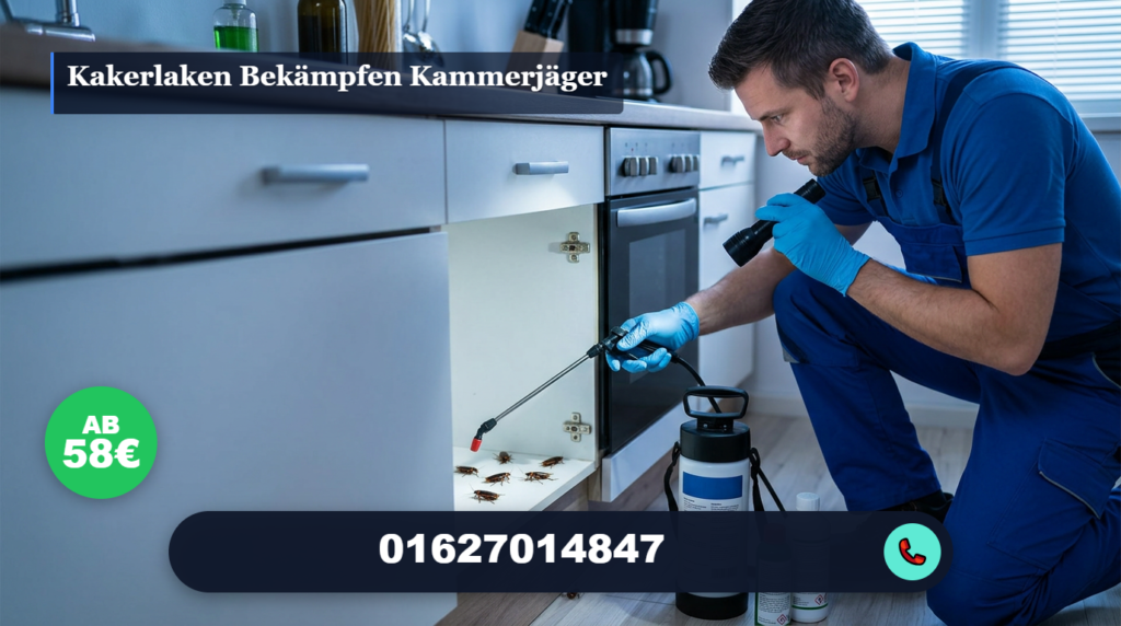 kakerlaken bekämpfen kammerjäger