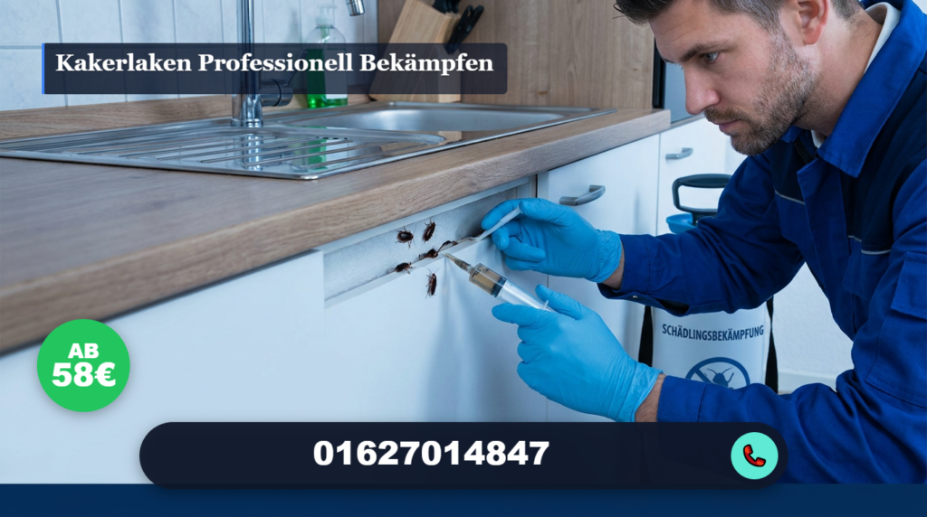 kakerlaken professionell bekämpfen