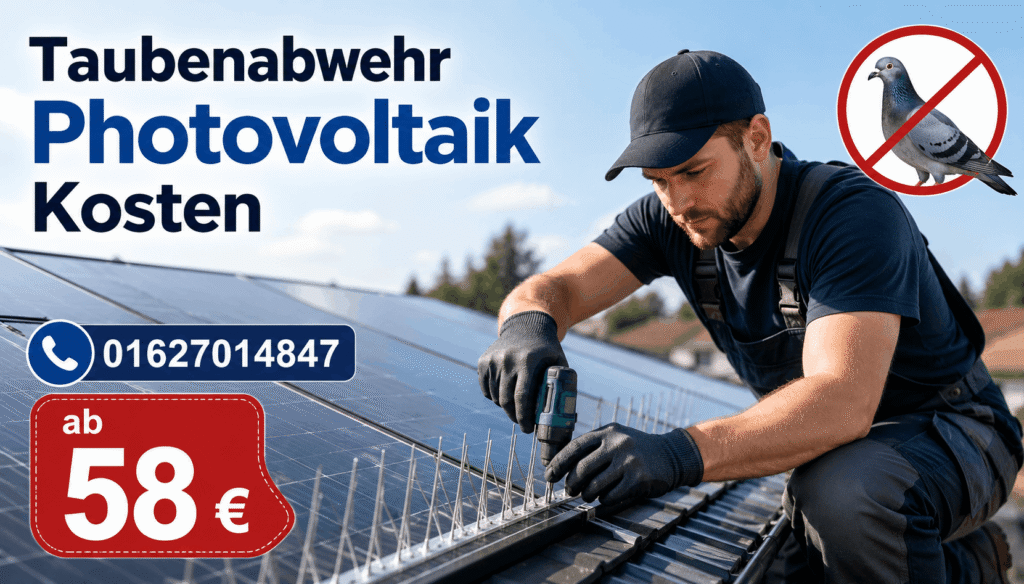 Taubenabwehr Photovoltaik Kosten für Reinigung, Schutzgitter und professionelle Montage